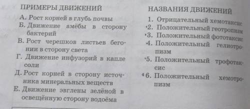 Запутался не много, я это задание выполнил, но нужна проверка, верно ли