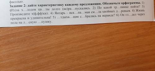 Задание2 Дайте Характеристику каждому предложению. Обозначьте орфограммы. 8 д класс Дд