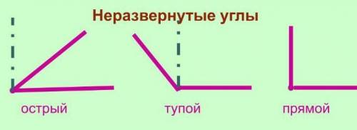 Неразвернутый угол показать