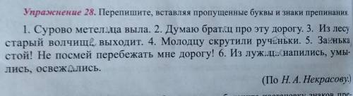 Упражнение 28. Перепишите, вставляя пропущенные буквы и знаки препинания