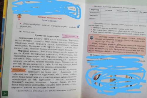 37. Көп нүктенің орнына тиісті қосымшаларды қойып, сөйлемдерді көшіріп жаз. 1. Құс..Сең қырағысы - с