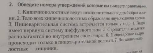 Отведите номера или напишите номера которые вы считаете правильными