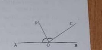 Найдите величину угла AOP, если OP- бис. угла AOC, угол COB = 43 градуса. ответ дайте в градусах.