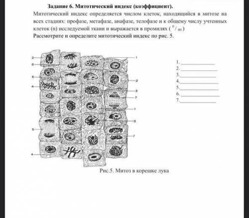 Задание из университета, фото прикреплено ниже.