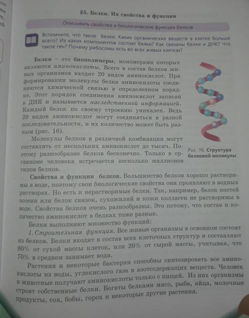 Напишите конспект по биологии на тему параграф 5 белки свойства и функции 8 класс 21 стр