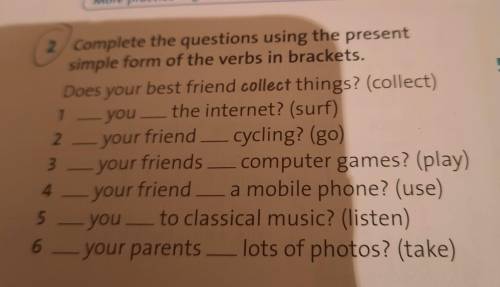 2.Complete the question using the present simple form of the verbs in brackets