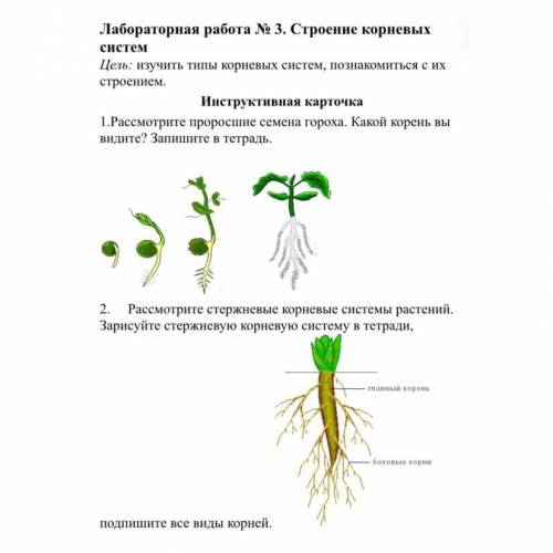 с лабораторной работой 6 класс