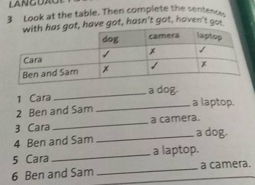 Look at the table. Then complete the sentences with has got, have got, hasn't got, haven't got. 3. d