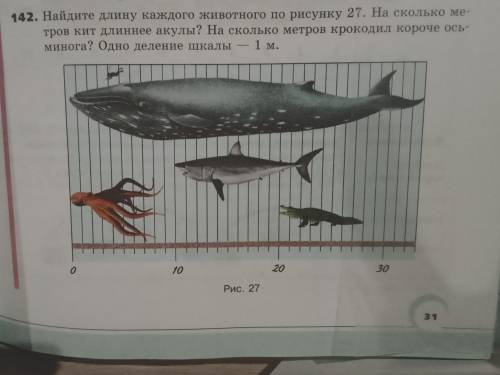 142. Найдите длину каждого животного по рисунку 27. На сколько ме- тров кит длиннее акулы? На скольк