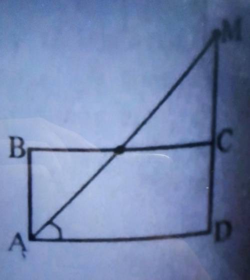 Бісектриса кута А прямокутника ABCD перетинає продовження сторони CD в точці М. Знайти градусну міру