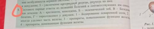 Составьте парные ответы из названий болезней и соответствующих им лечения с номером 4