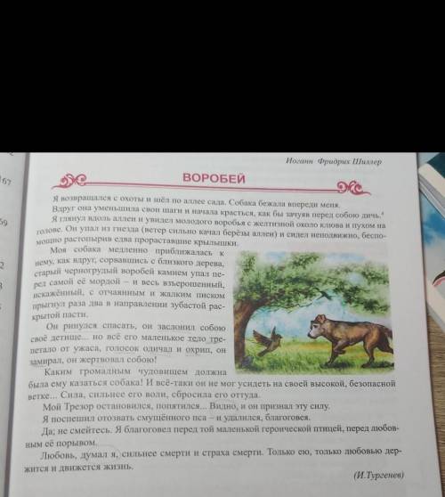 как автор выразил своё восхищение силой любви героической птицы почему автор называет птицу героичес