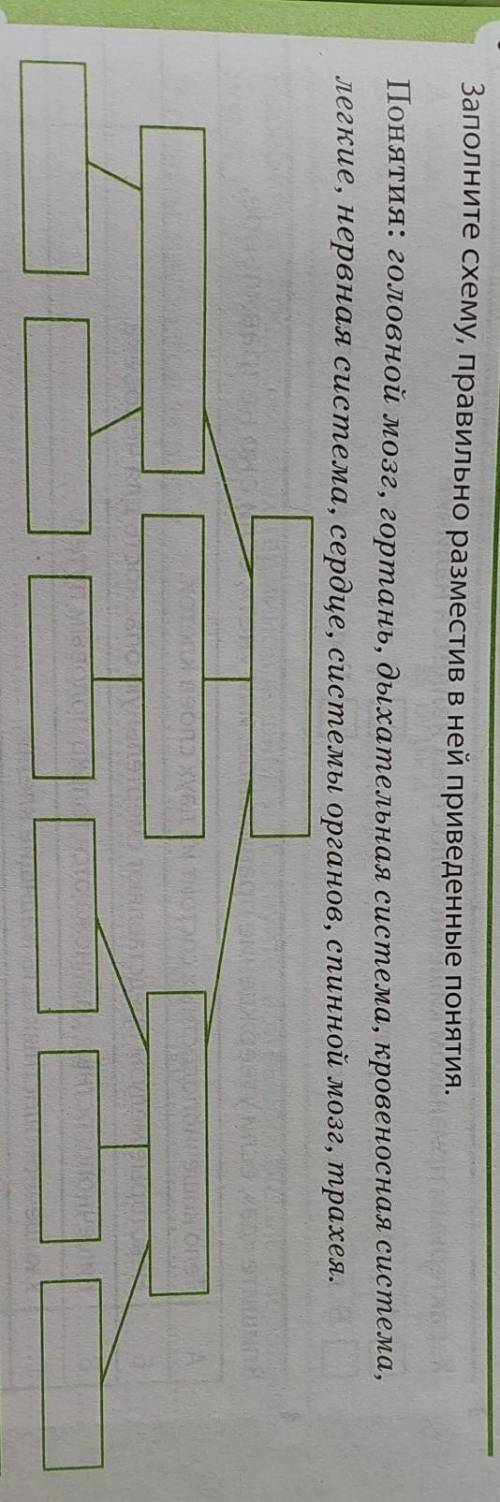 Заполните схему, правильно разместив в ней приведенные понятия