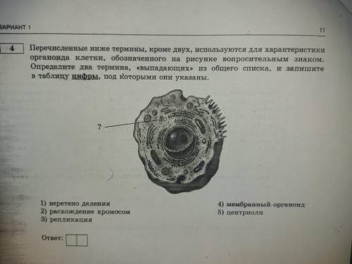 Очень надо и как можно быстрее!