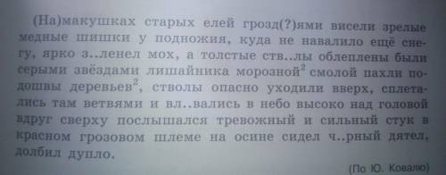 Обозначьте границы предложений поставив в конце каждого предложения нужный знак препинания. Укажите