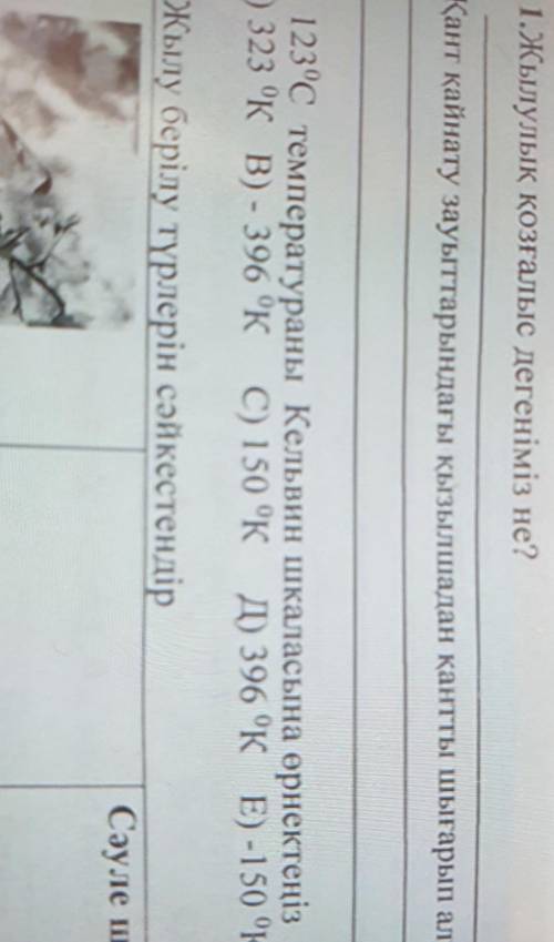 2. Установите температуру 123 ° C A) 323 ° K B) - 396 ° K C) 150 K JD 396 K E) -150 ° K
