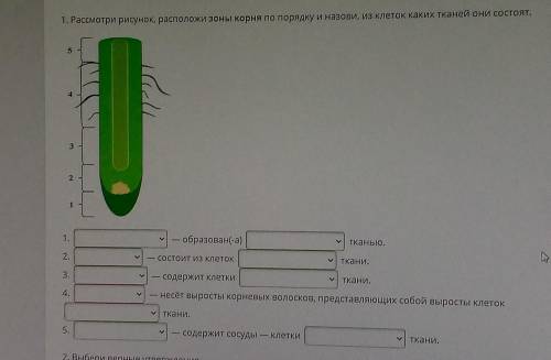 умоляю вопрос жизни и смерти