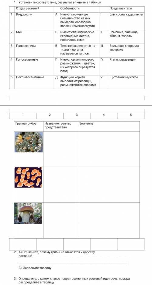 Установите соответствие, результат впишите в таблицуОтдел растенийОсобенности Представители 1Водорос