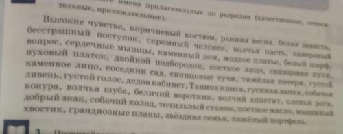 надо выписать из упражнения качественные прилагательные