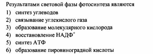 Результат расщепления органичных веществ за участием газообмена