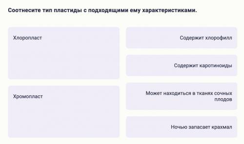 Соотнесите тип пластиды с подходящими ему характеристиками