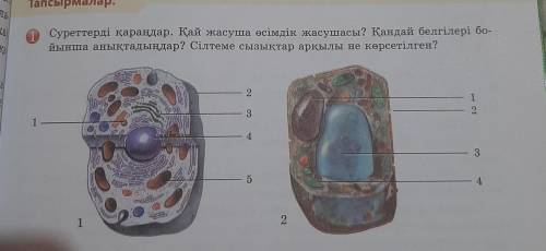 уже завтра и мне нужен казах сегодня