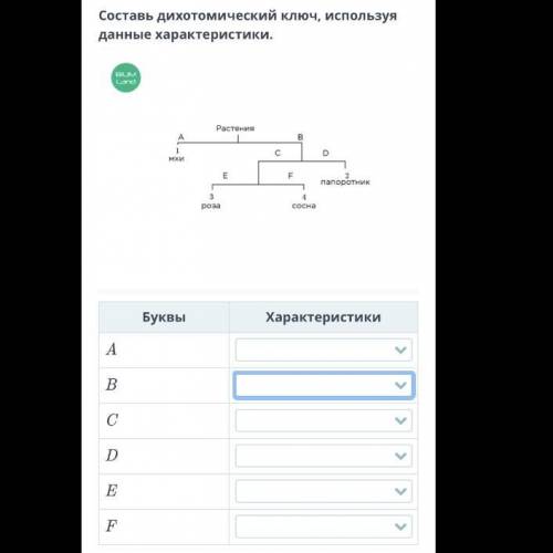 Дихотомический метод. Использование дихотомических ключей Составь дихотомический ключ, используя дан