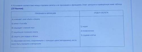 4. Установите соответствие между отделами скелета и их признаками и функциями. ответ запишите в прив