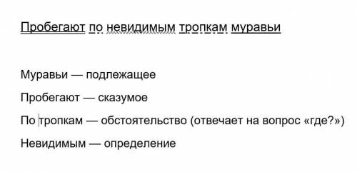 1.Разобрать по членам предложения и по частям речи. Пробегают по невидимым тропкам муравьи.