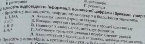 Встановіть відповідність інформації, позначеної цифрами і буквами, утворіть пари 1.H2SiO42.HCl3.H2O4