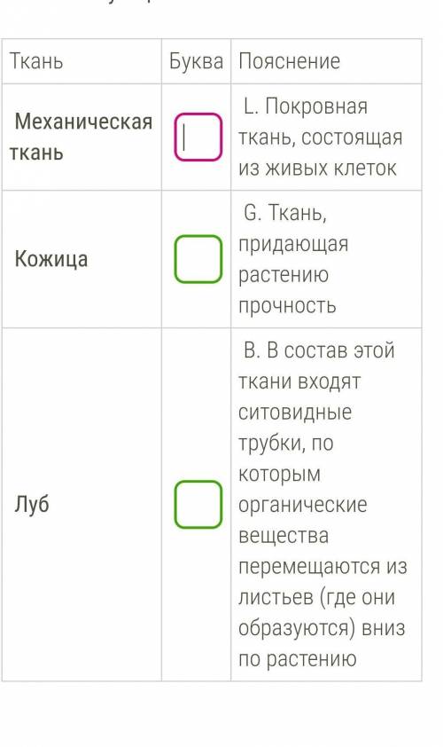 Запиши рядом с данными терминами букву (без точки, в латинской раскладке) соответствующего пояснения