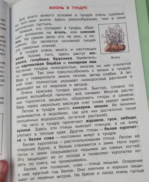 из этих страниц учебника надо выписать в тетради экологические проблемы и их решения прописать