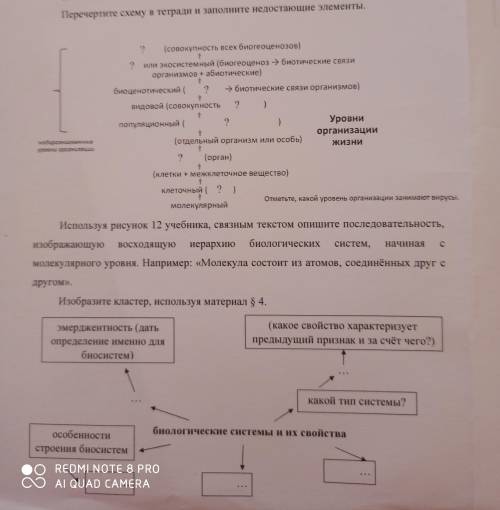 Биологические системы и их свойства.+Лабораторная работа Файл прикреплен