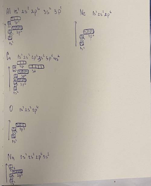 4. Складіть електронні формули будови електронних оболонок атомів: Al, Ca, O, Na, Ne.
