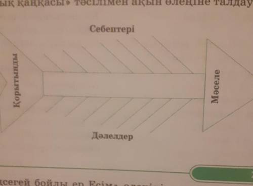 «Балық қаңқасы» тәсілімен ақын өлеңіне талдау жасаңдар. СебептеріҚорытындыMaceaeДалеллер