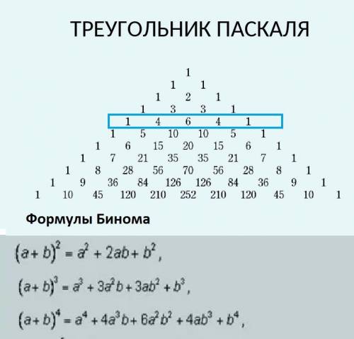 Найдите коэффициент при х^3 в биномиальном разложении (1-2х)*4