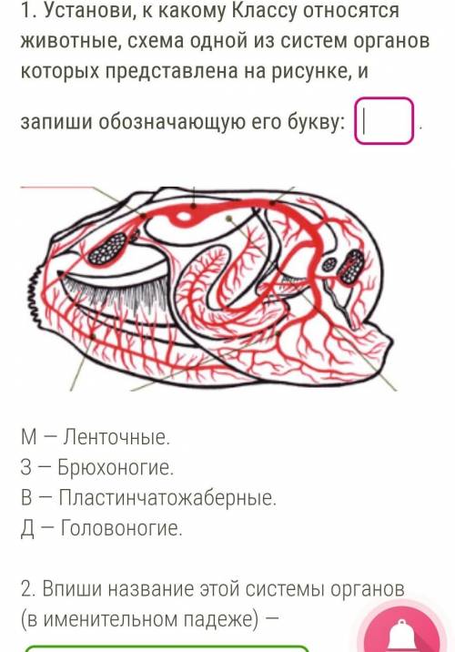 2. Впиши название этой системы органов (в именительном падеже ОЧ БЫСТРО ,Я ЖДУ ЛАЮ МНОГО