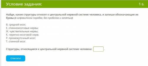 Найди, какие структуры относят к центральной нервной системе человека, и запиши обозначающие их букв
