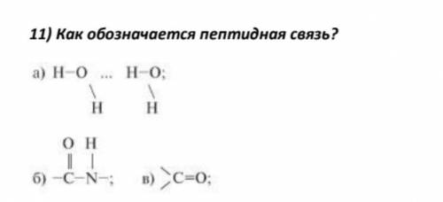 Как обозначается пептидная связь?