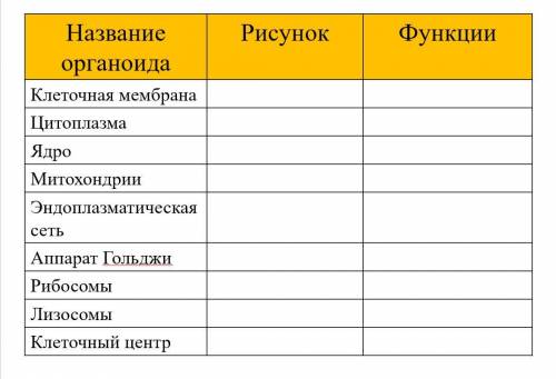 ЗАполните табличку без рисунка