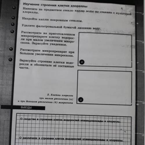 Лабораторная работа по биологии