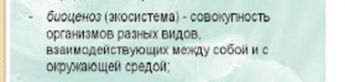 Почему березняк это биосистема? очень ! ответьте развернуто