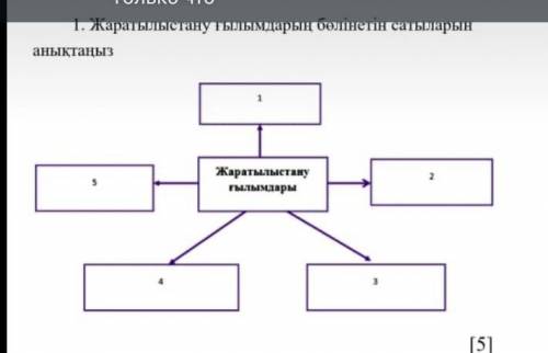 БЖБ 1 тапсырма жаратылыстану ғылымдарың бөлінетін сатыларын анықтаңыз