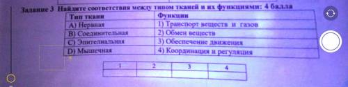 Задания 3 найдите соответствие между типом тканей и их функциями.