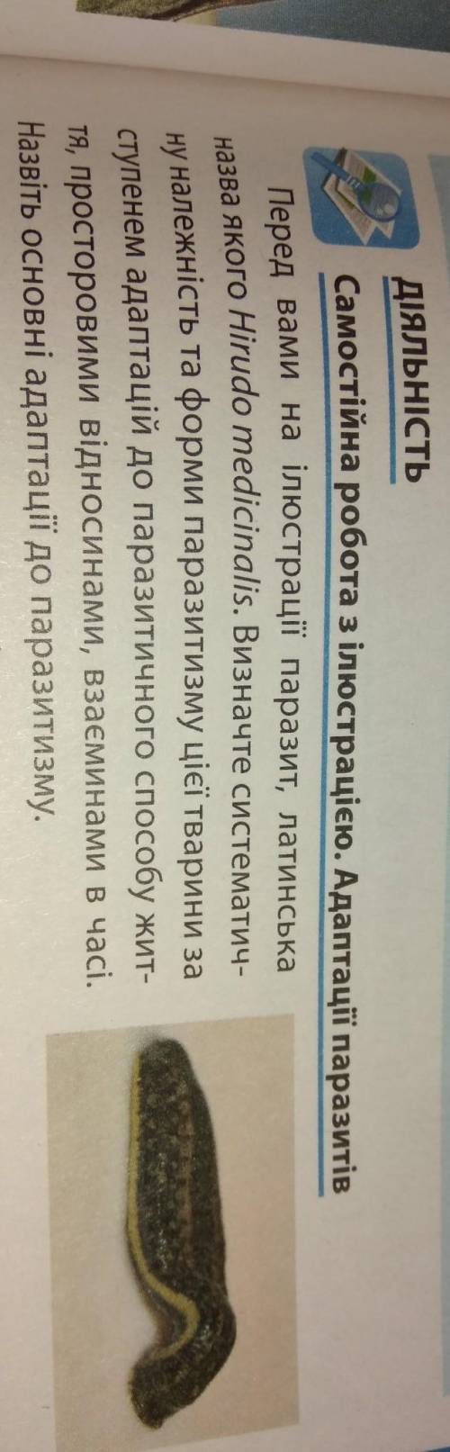 ДІЯЛЬНІСТЬ Самостійна робота з ілюстрацією. Адаптації паразитів Перед вами на ілюстрації паразит, ла