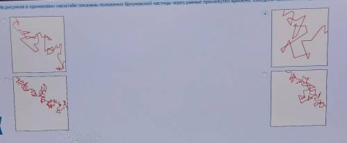 На рисунках в одинаковом масштабе показаны положения броуновской частицы через равные промежутки вре