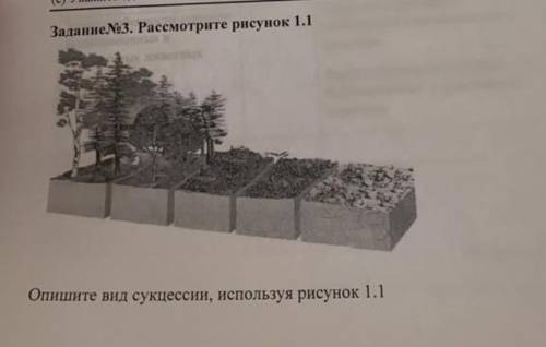 Рассмотрите рисунок 1.1 опишите вид сукуесии используя рисунок 1.1.