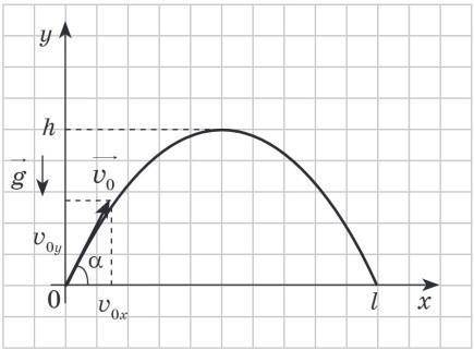 Тело брошено под углом 45 градусов к горизонту со скоростью 15 м/с. Вычислите: a) величины проекций