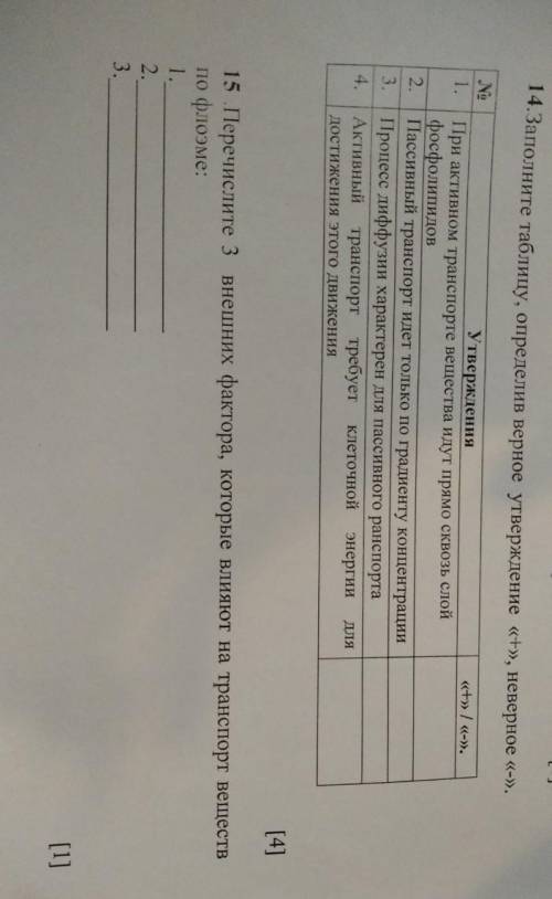 14. заполните таблицу, определив верное утверждение «+», неверное «-». 15. перечислите 3 внешних фак