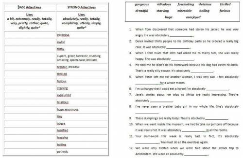 Base adjectives and strong adjectives